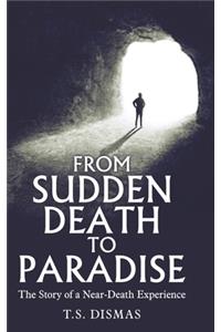 From Sudden Death to Paradise: The Story of a Near-Death Experience