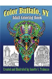 Color Buffalo, NY