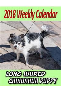 2018 Weekly Calendar Long Haired Chihuahua Puppy