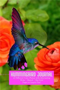 Hummingbird Journal: Write Sketch Doodle, 6x9 Journal with Stunning Color Photos Inside