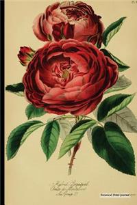 Botanical Print Journal