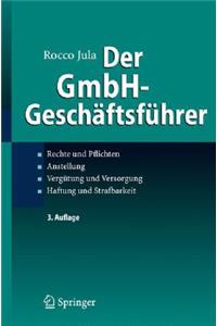Der Gmbh-Gesch Ftsf Hrer: Rechte Und Pflichten, Anstellung, Verg Tung Und Versorgung, Haftung Und Strafbarkeit