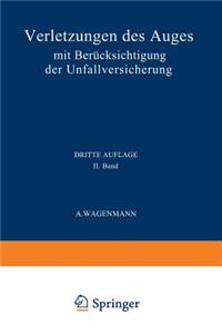 Verletzungen Des Auges: Mit Berücksichtigung Der Unfallversicherung