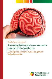 A evolução do sistema somato-motor dos mamíferos