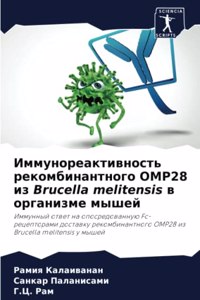 Иммунореактивность рекомбинантного OMP28 и&#