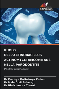 Ruolo Dell'actinobacillus Actinomycetamcomitans Nella Parodontite