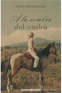 a la Sombra del Ombu