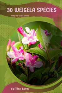 30 Weigela species: Make the right choice