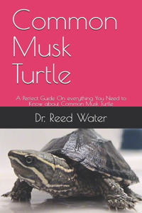 Common Musk Turtle