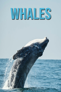 Whales