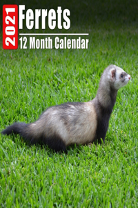 Calendar 2021 Ferrets