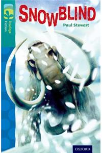 Oxford Reading Tree TreeTops Fiction: Level 16 More Pack A: Snowblind