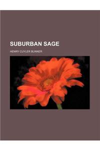 The Stories of H. C. Bunner; Short Sixes, Stories to Be Read While the Candle Burns; The Suburban Sage, Stray Notes and Comments on His Simple Life