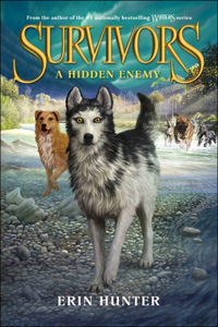 Hidden Enemy