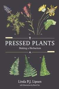 Pressed Plants