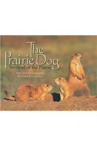 Prairie Dog