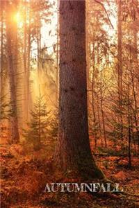 Autumnfall