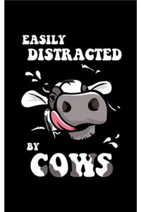Easily Distracted By Cows