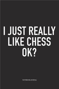 I Just Really Like Chess Ok?