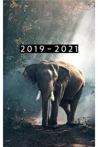 2019 - 2021