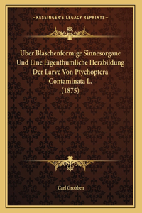 Uber Blaschenformige Sinnesorgane Und Eine Eigenthumliche Herzbildung Der Larve Von Ptychoptera Contaminata L. (1875)