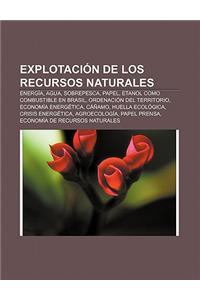 Explotacion de Los Recursos Naturales: Energia, Agua, Sobrepesca, Papel, Etanol Como Combustible En Brasil, Ordenacion del Territorio