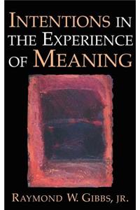 Intentions in the Experience of Meaning