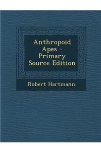 Anthropoid Apes