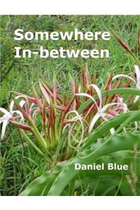 Somewhere In-between