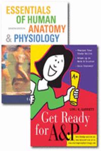 Essentials of Human Anatomy and Physiology