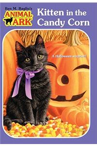 Kitten in the Candy Corn
