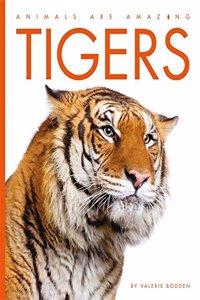 Tigers