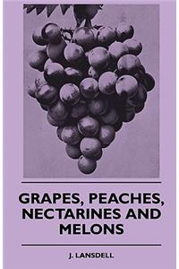 Grapes, Peaches, Nectarines and Melons