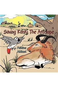 Saving Kanki The Antelope