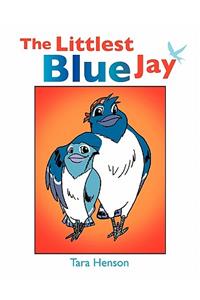 The Littlest Blue Jay