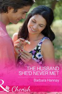 Husband She'd Never Met (Mills & Boon Cherish)