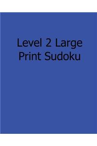 Level 2 Large Print Sudoku