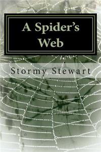 A Spider's Web