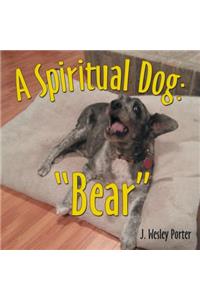 A Spiritual Dog