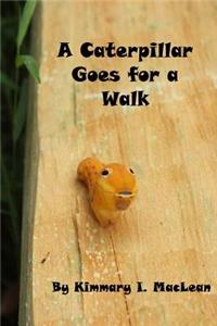 Caterpillar Goes for A Walk