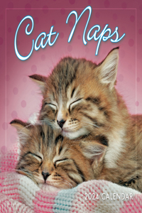 Cat Naps