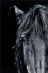 Magnificent Black Frisian Horse Portrait Journal
