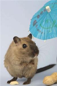 Fat-Tailed Gerbil Journal