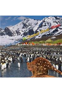 South Georgia & Sandwich Islands, BRITAIN