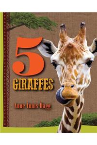 5 Giraffes