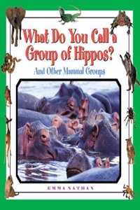 What Do You Call a Group of Hippos?