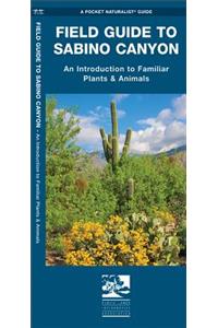 Sabino Canyon, Field Guide to