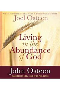 Living in the Abundance of God