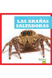 Las Aranas Saltadoras (Jumping Spiders)