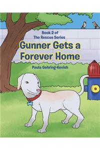 Gunner Gets a Forever Home